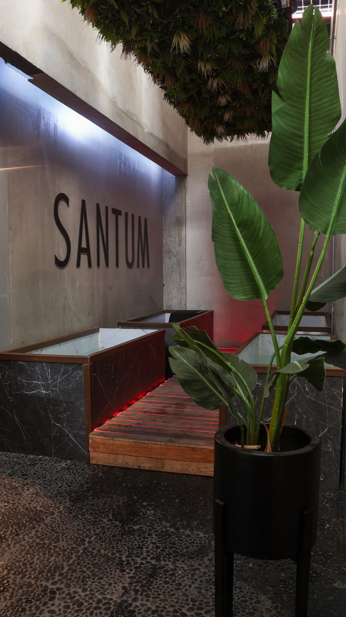 Entrada Santum